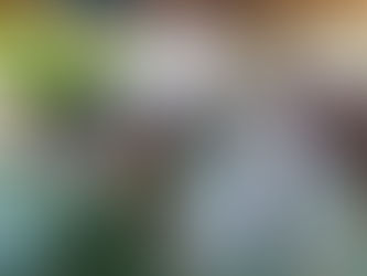 Punta Gorda, Roatán