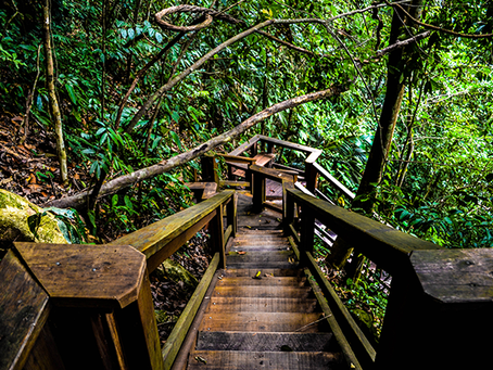 Hiking at Pico Bonito