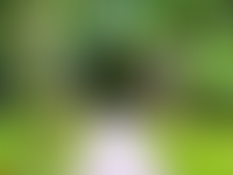 The Lodge at Pico Bonito