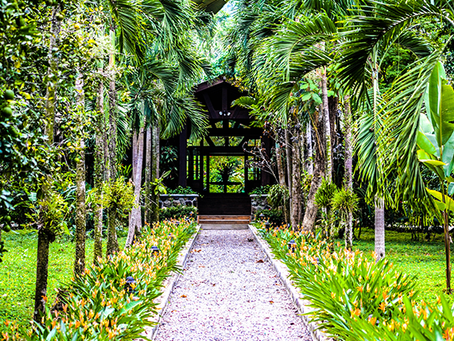 The Lodge at Pico Bonito