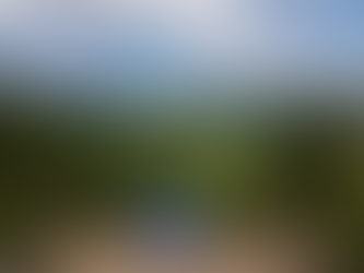 PANACAM, una joya escondida