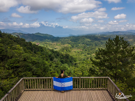 PANACAM, una joya escondida