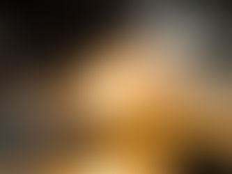 Hotel Los Olingos, Tela