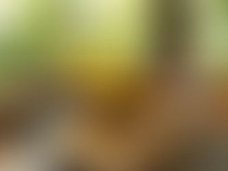 La Villa de Soledad, La Ceiba