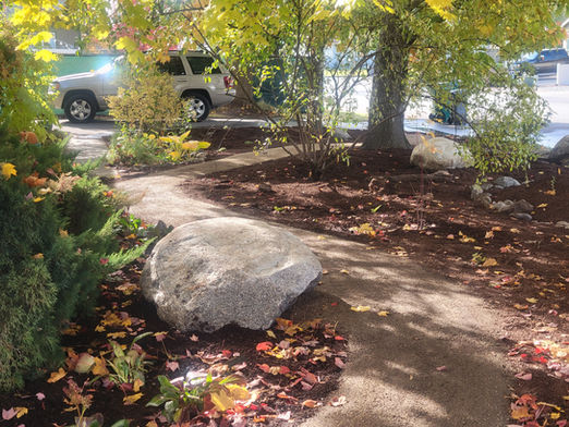 Decomposed granite pathway winds through a new garden under mature trees.