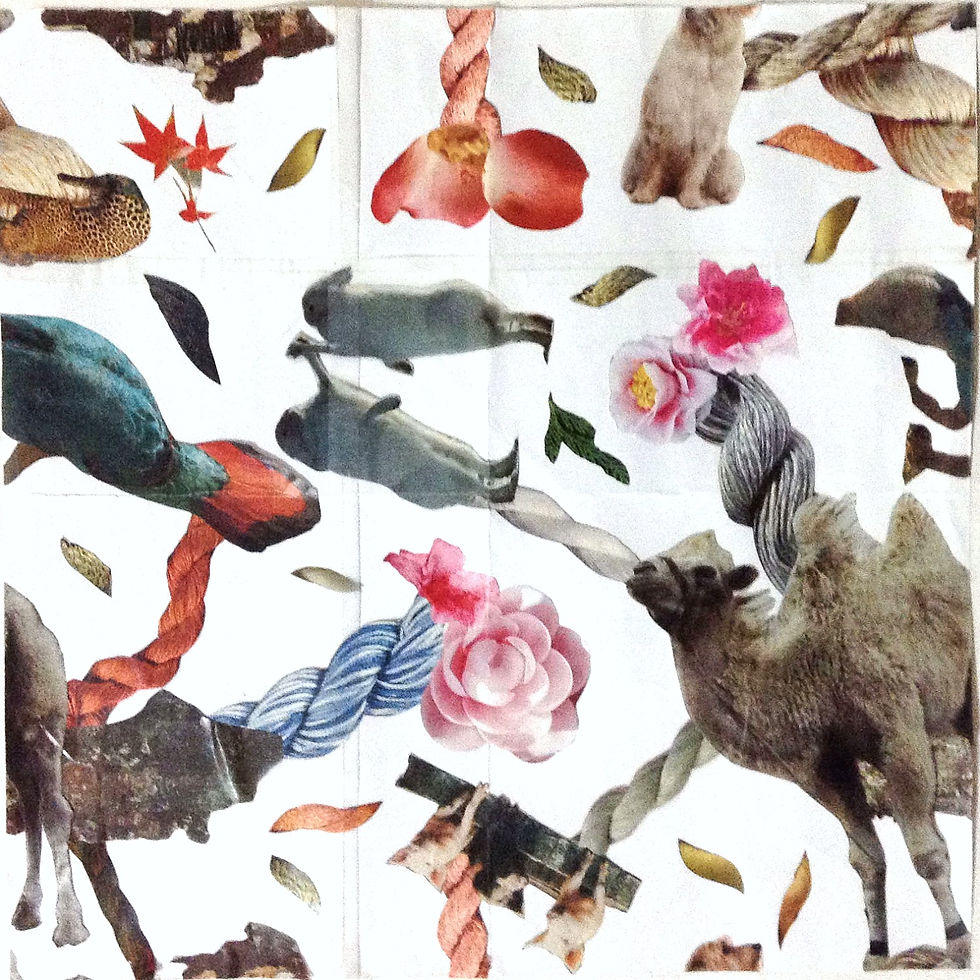 - From Animals to Yarn -