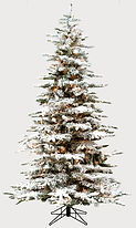 9.0 FT - Main Image.jpeg