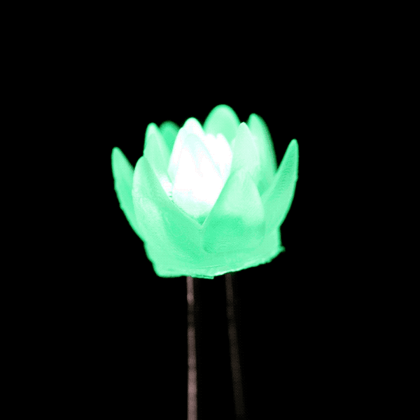 succulent-green.gif