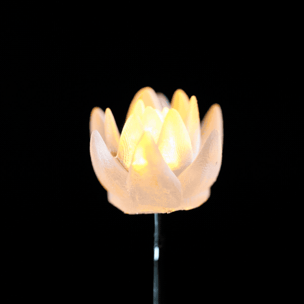 succulent yellow.gif