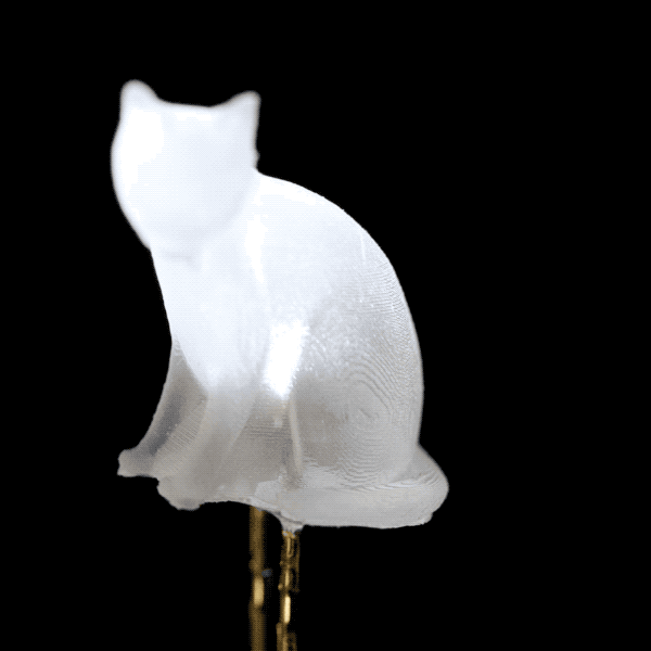 AW1A6165.2022-07-27 16_37_23.gif