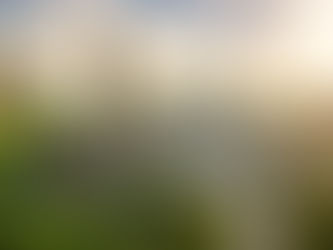 Universities in Canada With a Great Campus Life