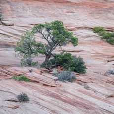 Zion National Park, Utah