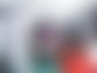 COVID-19 & Other Risks - Ski Resorts