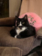 Mr. Binoo (M) DOB August 9, 2020