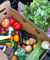 CSA box.jpg