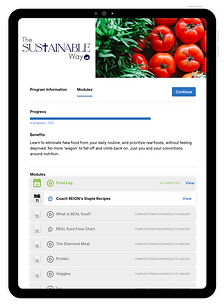 The Sustainable Way Screenshot 3.png