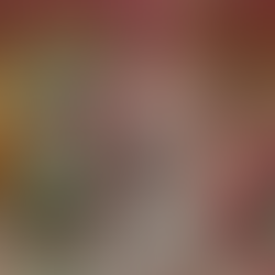 w e l c o m e . t o . t h e . d o l l h o u s e