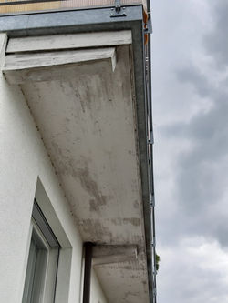 Schimmel DU vorher