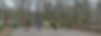 Trail Running Wald Foto