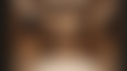 Luxury Home Organization Services in Raleigh: Transform Your Space with Style