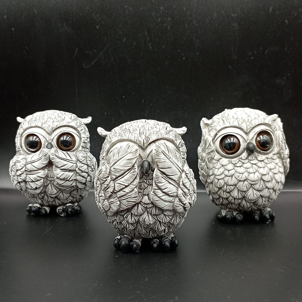 BÚHOS SABIOS X3