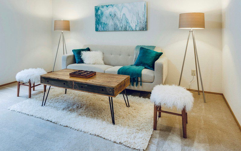A bright, furnished room with neutral seating and a soft rug.