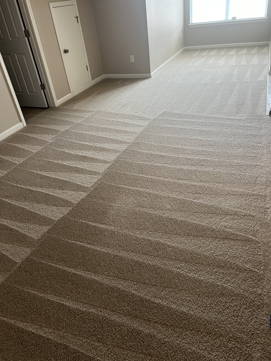 Finished carpet with real triangular cleaning lines across a room.