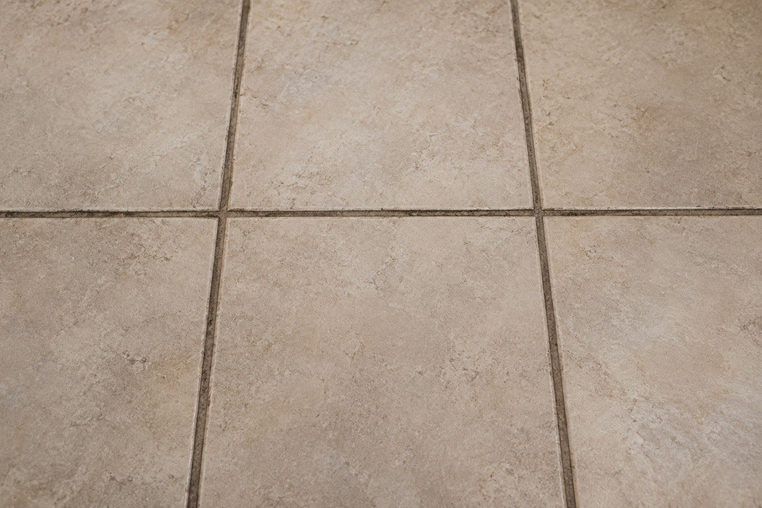Illustrative tile floor with dark, built-up soil in the grout lines.