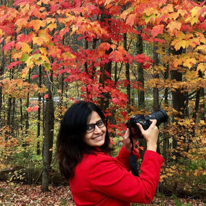 Autumn Foliage Exploration