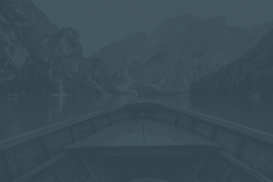 duotone (5).png
