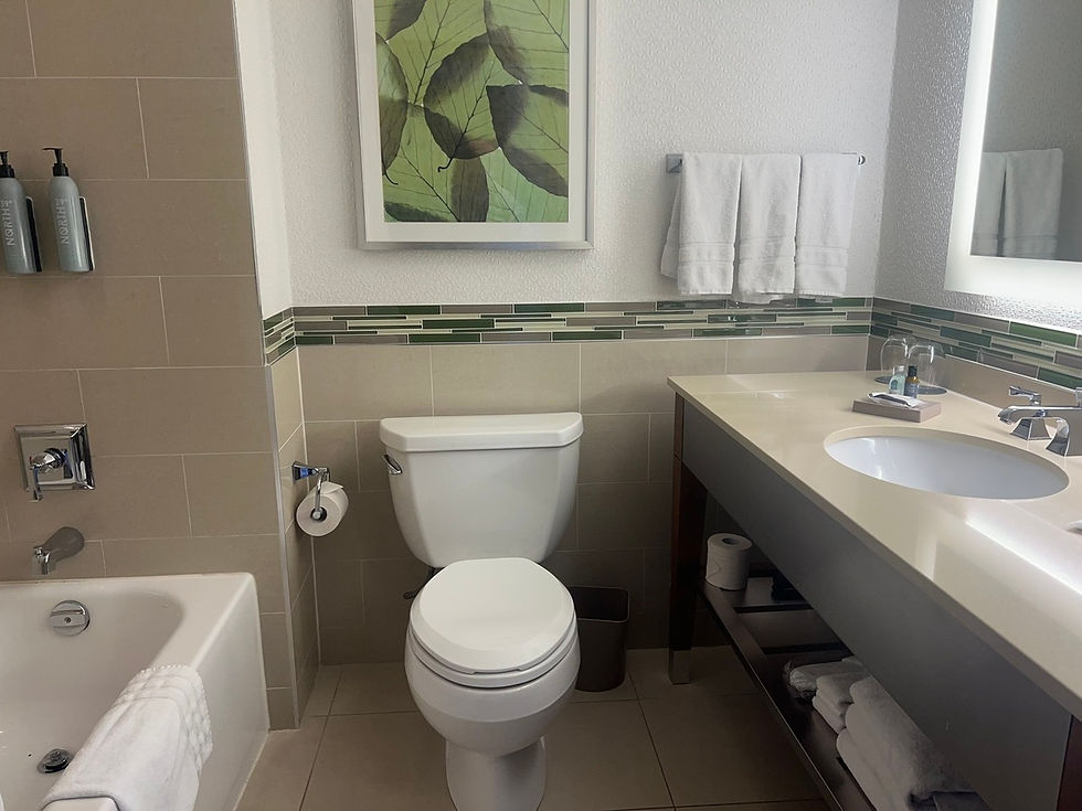 Westin Ottawa Bathroom