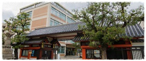 女子校 四天王寺 神戸女学院 京都女子 中学受験どっとくらぶ 女子校 四天王寺 神戸女学院 京都女子 中学受験どっとくらぶ