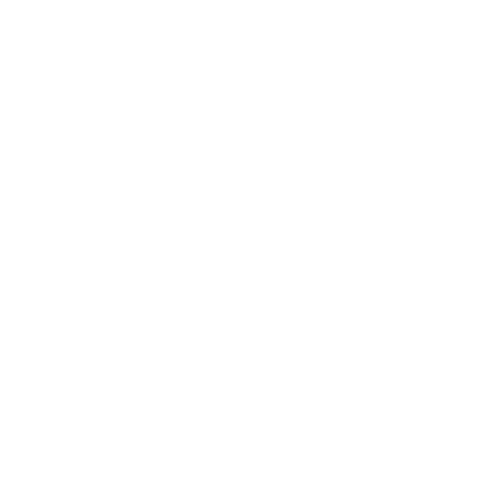 Spike inova-prodotto icone BIANCHE4.png