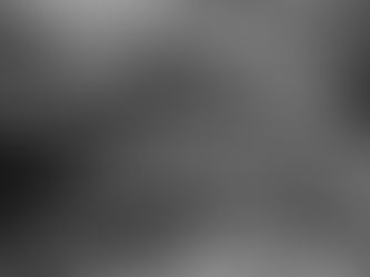 Mata Atlântica: Fragmentos e Resistência