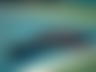 Discover the Latest Features of Nexus Prostar