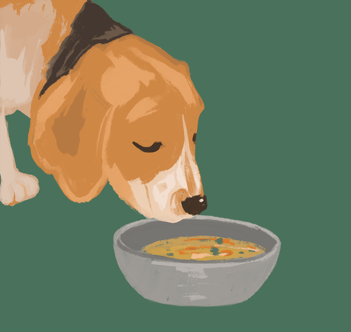 dog.gif