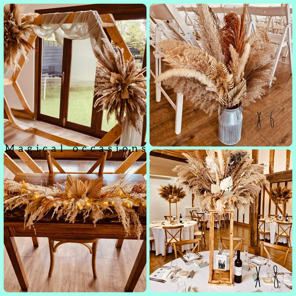 WhatsApp Image 2025-12-29 at 15.20.11 (1).jpeg