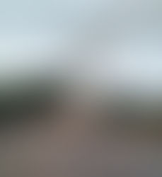 Integrantes do MBST e UNC ateiam fogo em pneus e galhos e bloqueiam parte da BR-251 em Unaí