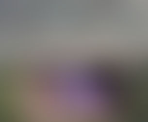 Polícia Civil prende e apresenta jovem que matou dois embaixo da ponte do Santa Rita