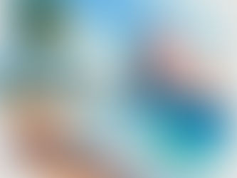 Baseball? The risks to our tourist dollars. And no return on investment.