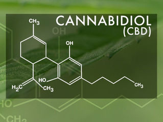 C.B.D Cannabidiol