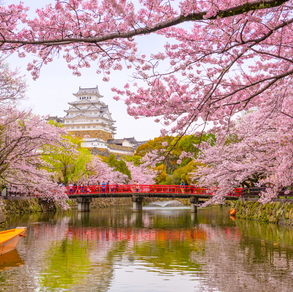 As Estações do Ano no Japão e Como Elas Influenciam Sua Viagem