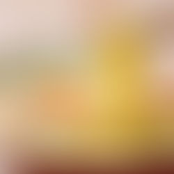 Explorando a Gastronomia Japonesa: Muito Além do Sushi