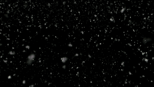 ezgif.com-video-to-gif.gif