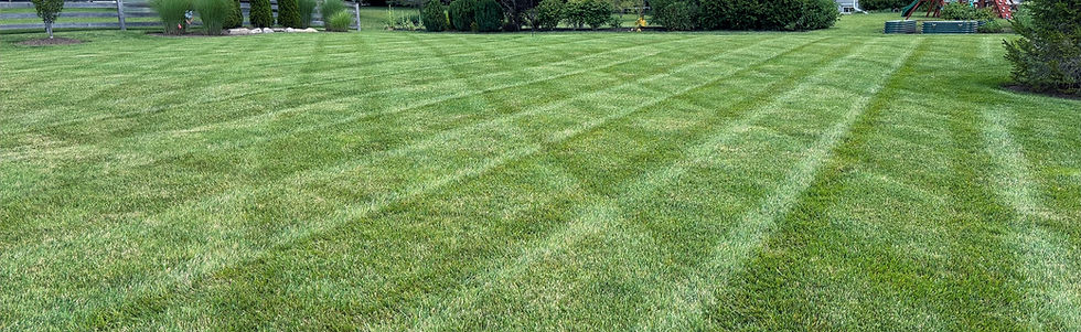 Fresh cut grass best looking in ohio