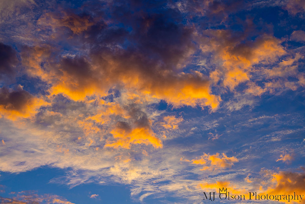 Gloucester 2023-4815.jpg