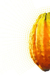 Cacao_Fruit_poster