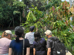 cacaofarm_hongkong