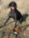 Hunt1.jpg