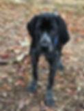 IMG_0173.jpeg